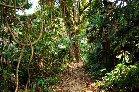 wprowadz dobre nawyki do swojego zycia