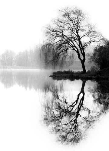 To, co dostrzegasz w innych, istnieje w Tobie. Zasada lustra