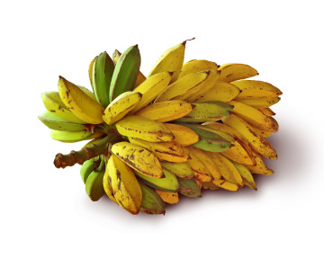 Warto jeść banany